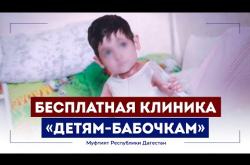 Embedded thumbnail for Бесплатная клиника для "детей-бабочек" открылась в Дагестане