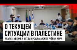 Embedded thumbnail for О текущей ситуации в Палестине