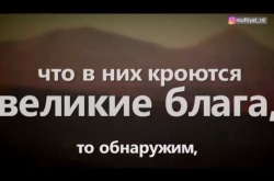 Embedded thumbnail for Истинный смысл ниспосылаемых бед 
