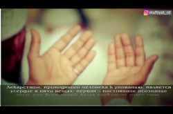 Embedded thumbnail for Лекарство приводящее человека к упованию на Всевышнего Аллаха 